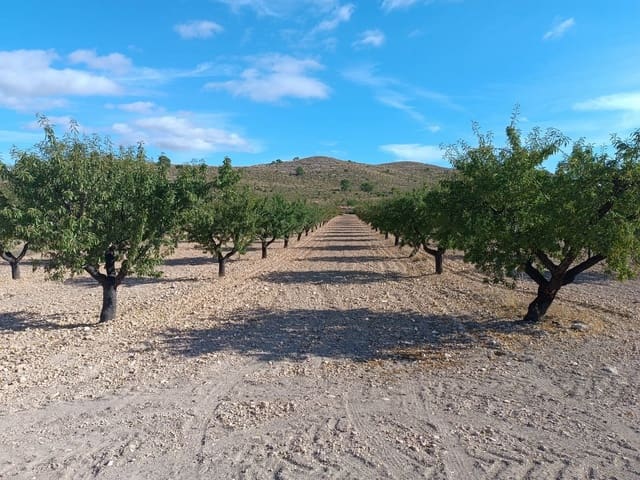 Terre non Aménagée à vendre à Yecla - 390 000 € (Ref: 9301956)