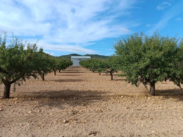 Terreno Non Edificato in vendita in Yecla - 390.000 € (Rif: 9301956)