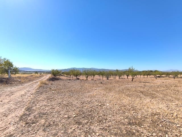 Mark till salu i Monóvar / Monóver - 50 000 € (Ref: 9302916)