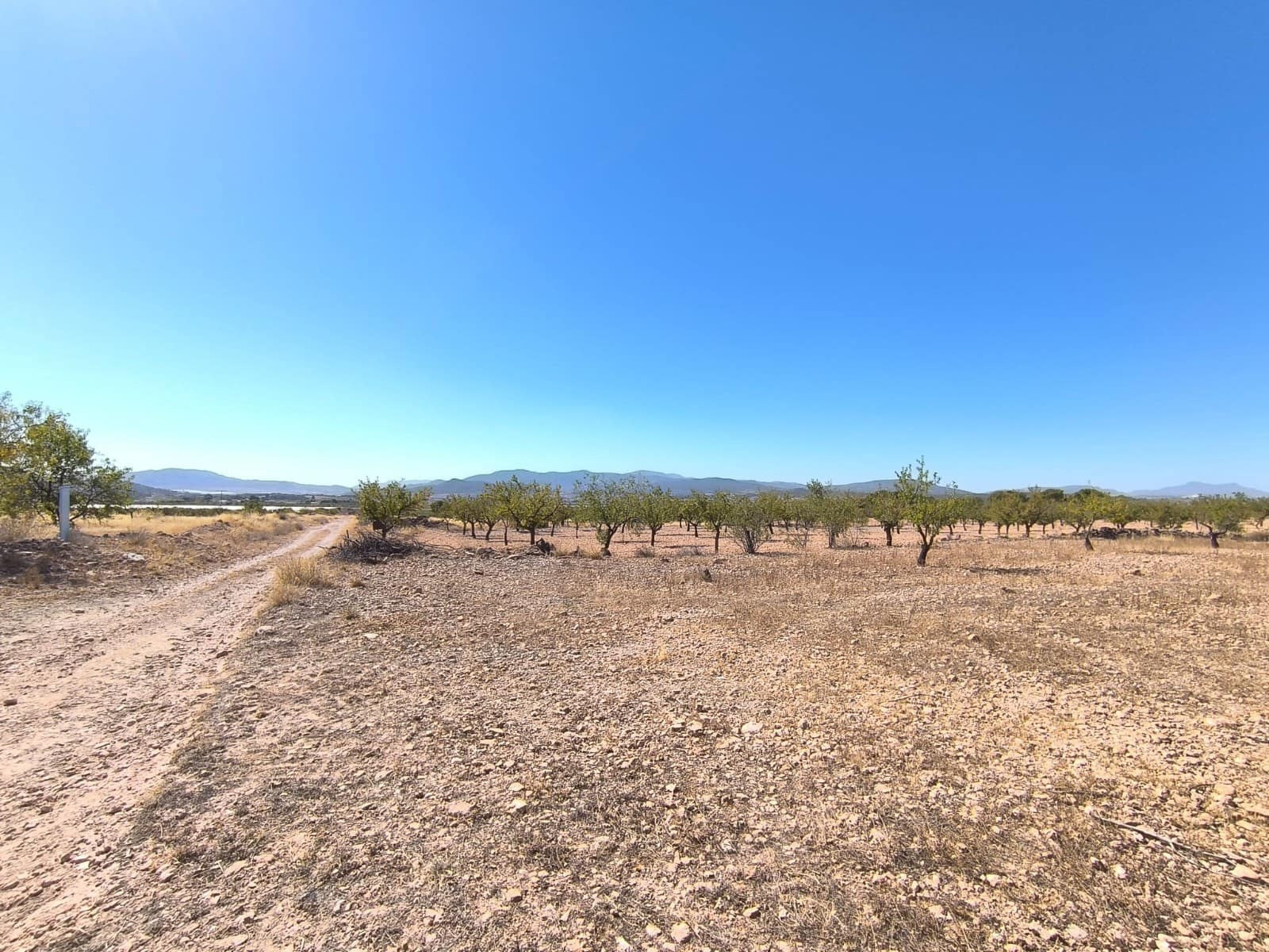 Terreno Non Edificato in vendita in Monovar / Monover - 50.000 € (Rif: 9302916)