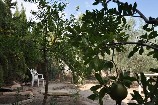 4 bedroom Finca/Country House for sale in Pinoso with garage - € 79,000 (Ref: 9314285)