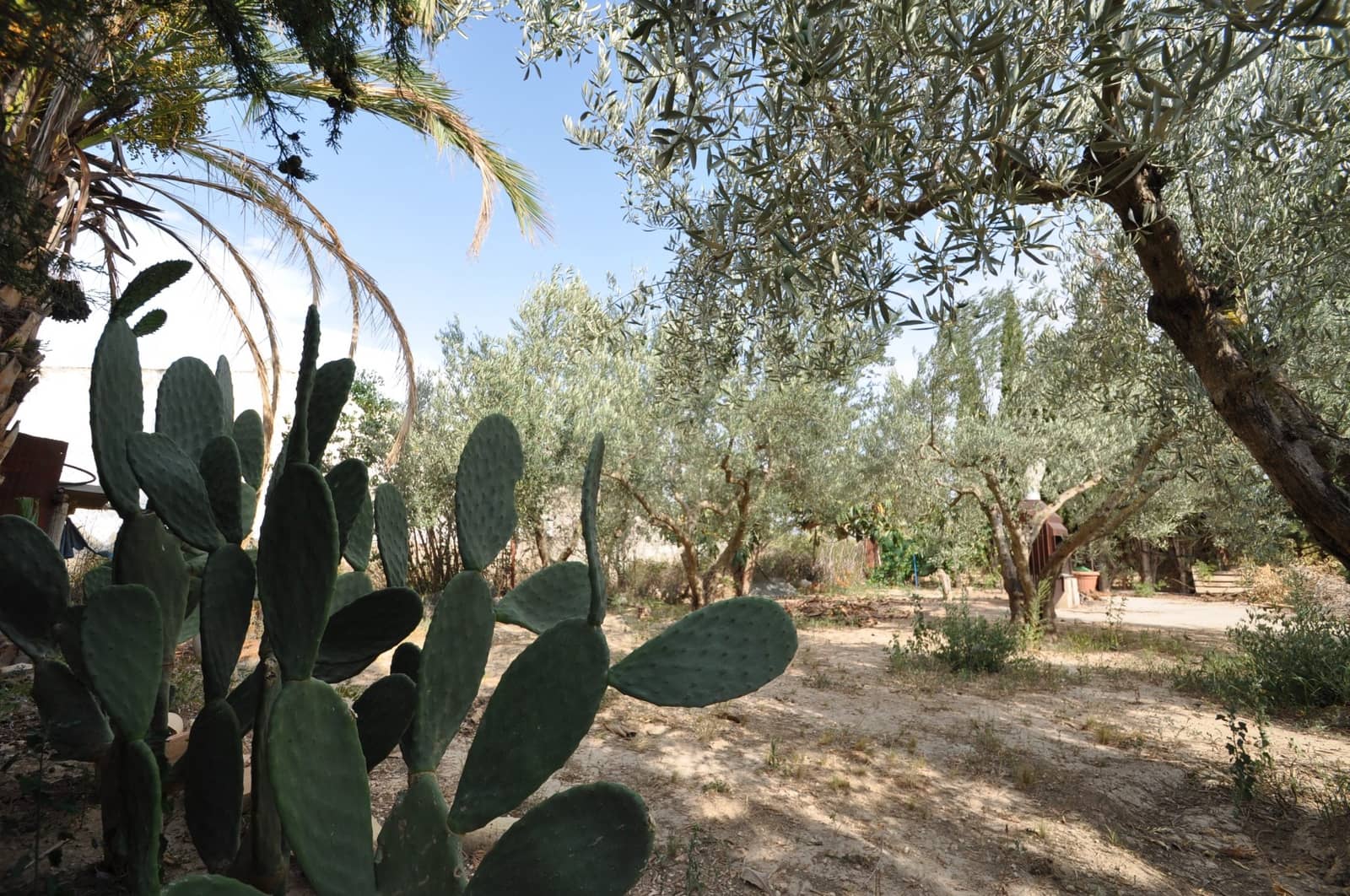 4 bedroom Finca/Country House for sale in Pinoso with garage - € 79,000 (Ref: 9314285)