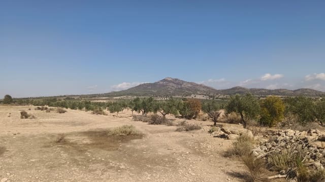 Mark till salu i Salinas - 119 999 € (Ref: 9325441)