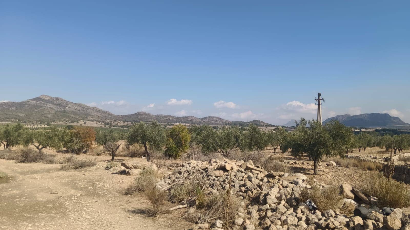 Grunde uden byggetilladelser til salg i Salinas - € 119.999 (Ref: 9325441)