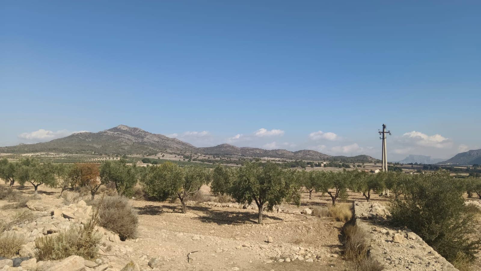 Grunde uden byggetilladelser til salg i Salinas - € 119.999 (Ref: 9325441)