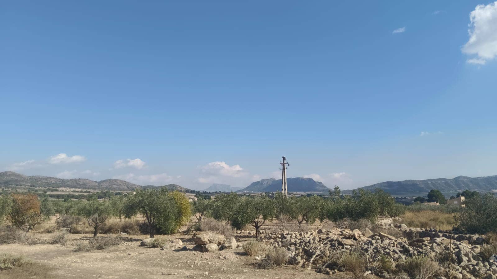 Grunde uden byggetilladelser til salg i Salinas - € 119.999 (Ref: 9325441)