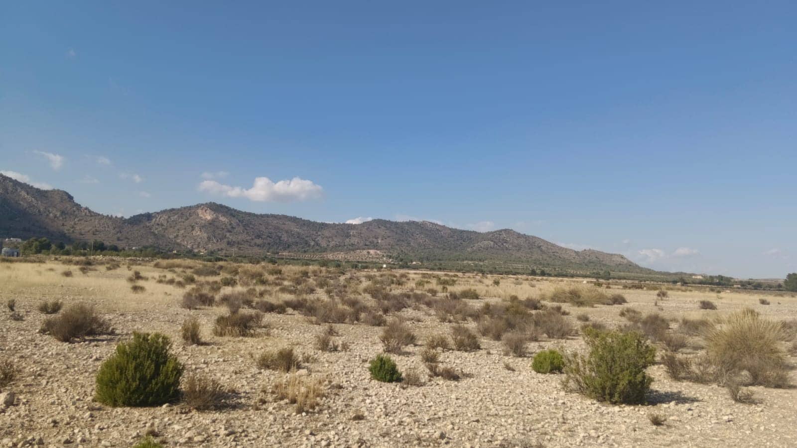 Grunde uden byggetilladelser til salg i Salinas - € 119.999 (Ref: 9325441)