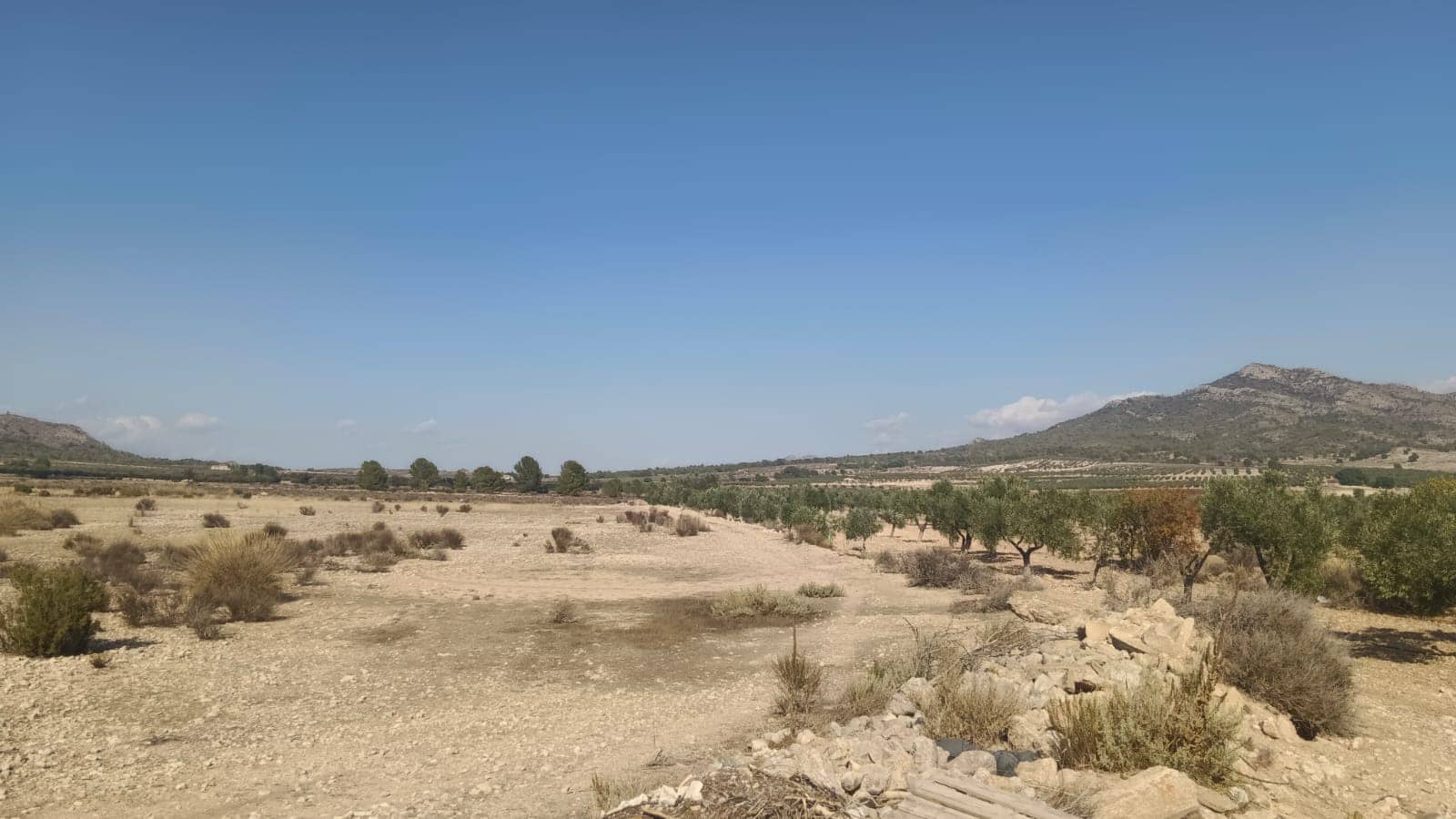 Grunde uden byggetilladelser til salg i Salinas - € 119.999 (Ref: 9325441)