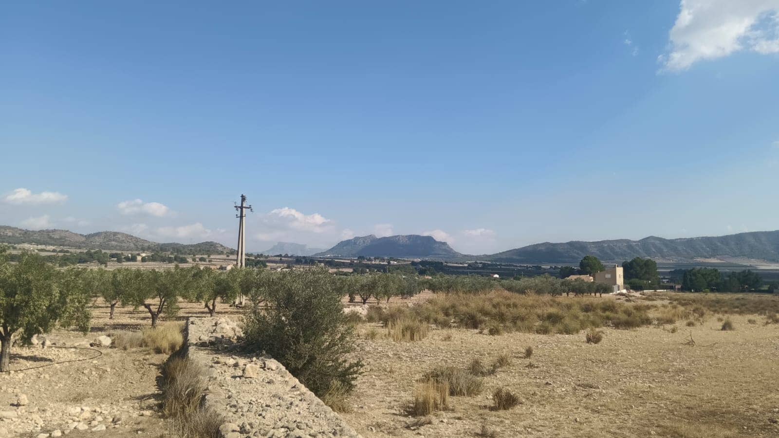 Grunde uden byggetilladelser til salg i Salinas - € 119.999 (Ref: 9325441)