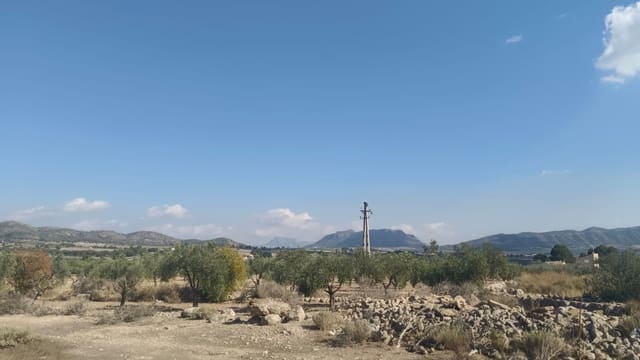 Mark till salu i Salinas - 119 999 € (Ref: 9325441)