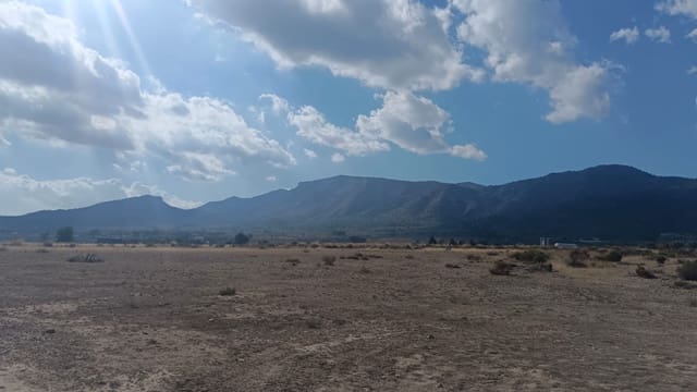 Mark till salu i Salinas - 119 999 € (Ref: 9325441)