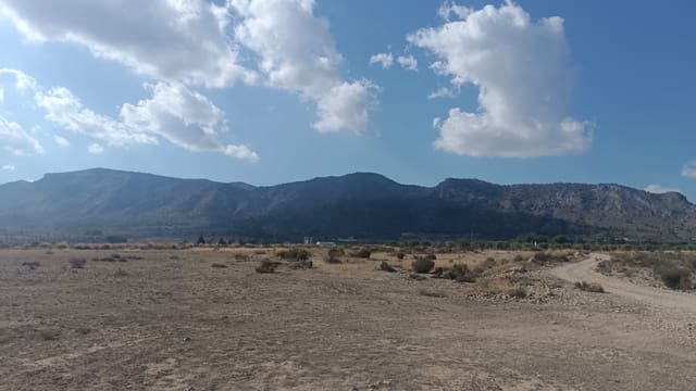 Mark till salu i Salinas - 119 999 € (Ref: 9325441)