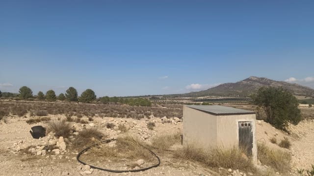 Mark till salu i Salinas - 119 999 € (Ref: 9325441)