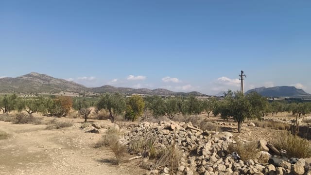 Landgrundstück zu verkaufen in Salinas - 119.999 € (Ref: 9325441)