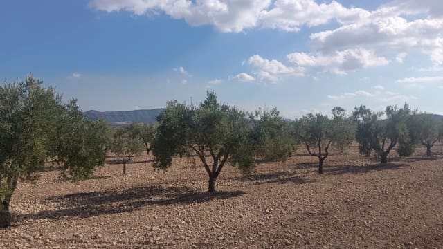 Landgrundstück zu verkaufen in Salinas - 119.999 € (Ref: 9325441)