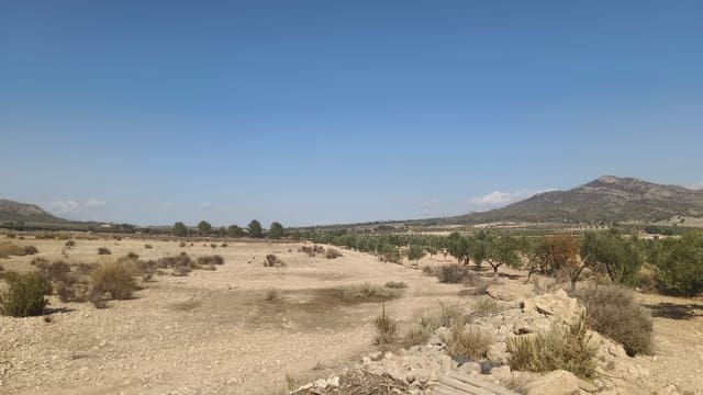 Mark till salu i Salinas - 119 999 € (Ref: 9325441)