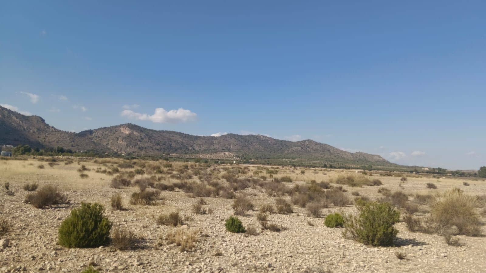 Undeveloped Land for sale in Salinas - € 119,999 (Ref: 9325441)