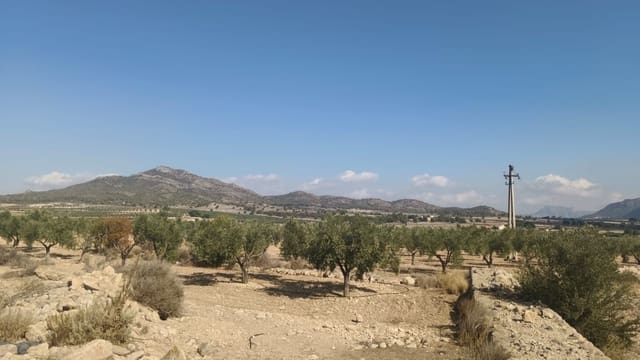 Grond te koop in Salinas - € 119.999 (Ref: 9325441)