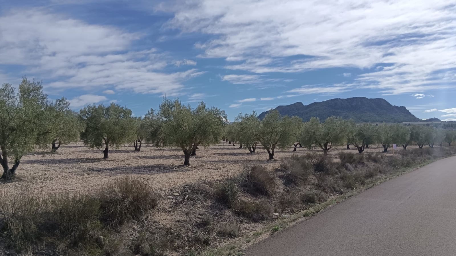 Undeveloped Land for sale in Salinas - € 90,000 (Ref: 9329542)