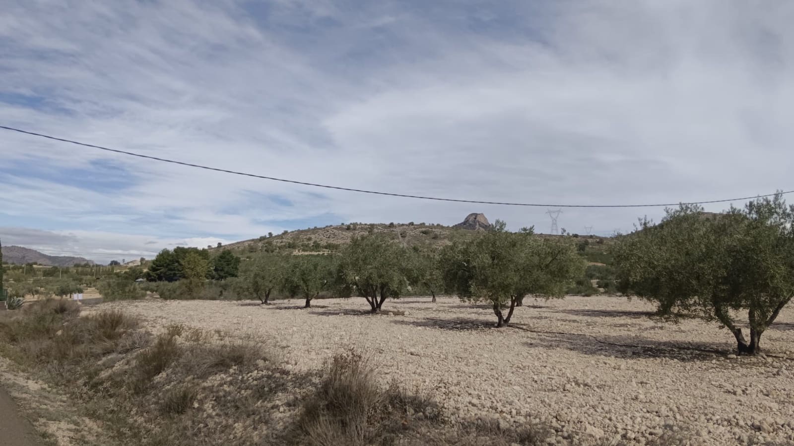 Undeveloped Land for sale in Salinas - € 90,000 (Ref: 9329542)