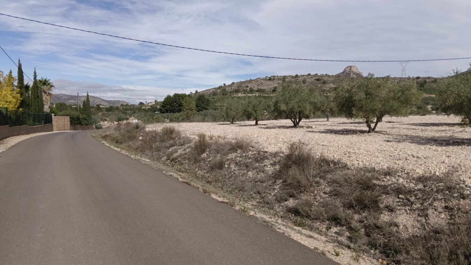 Undeveloped Land for sale in Salinas - € 90,000 (Ref: 9329542)