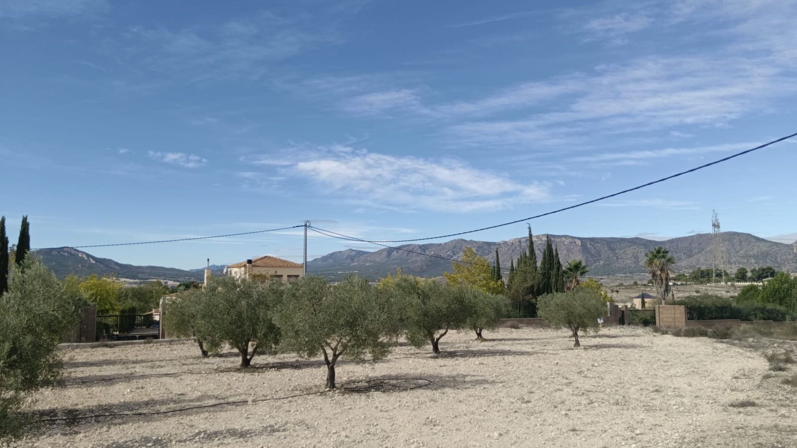 Undeveloped Land for sale in Salinas - € 90,000 (Ref: 9329542)