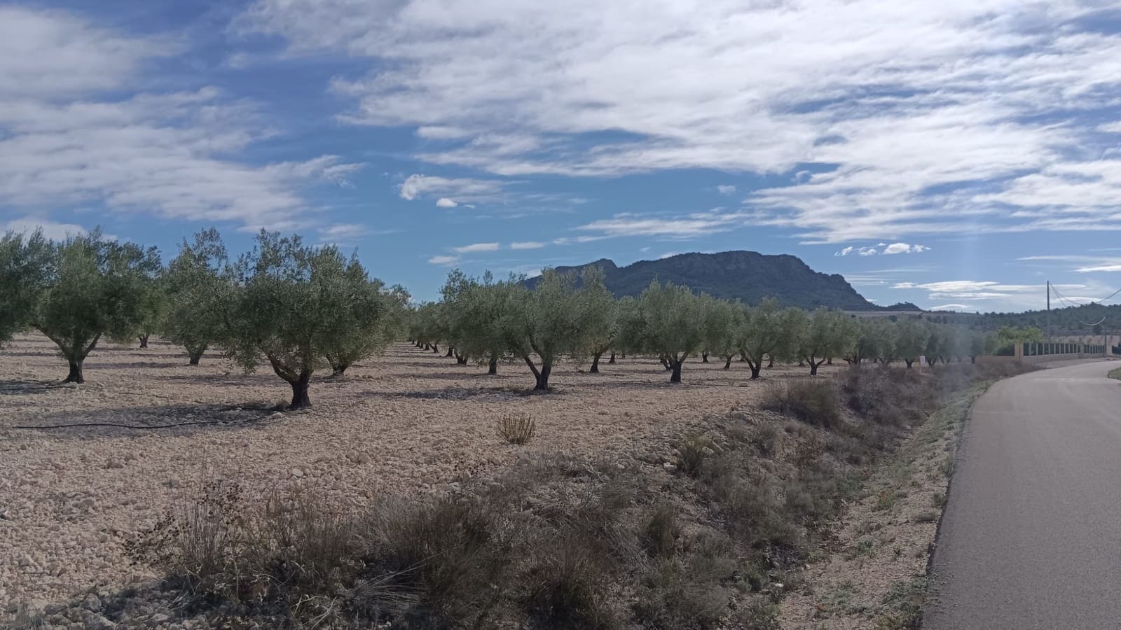 Undeveloped Land for sale in Salinas - € 90,000 (Ref: 9329542)