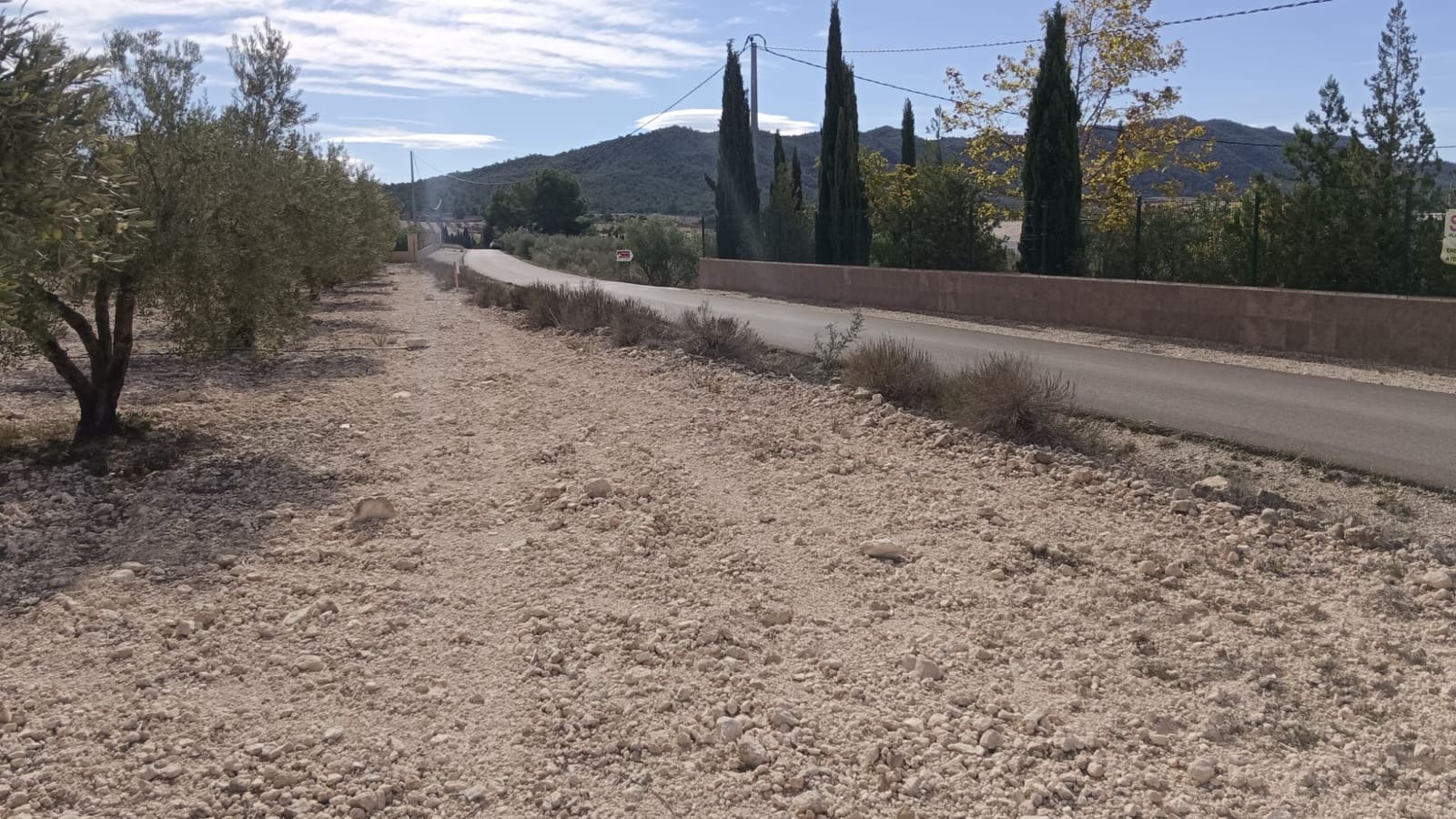 Undeveloped Land for sale in Salinas - € 90,000 (Ref: 9329542)