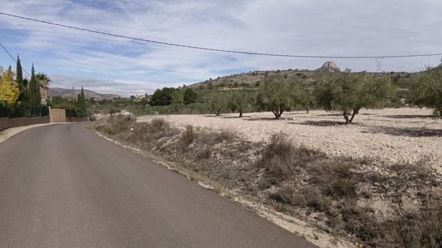 Grunde uden byggetilladelser til salg i Salinas - € 90.000 (Ref: 9329542)