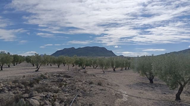 Grunde uden byggetilladelser til salg i Salinas - € 90.000 (Ref: 9329542)