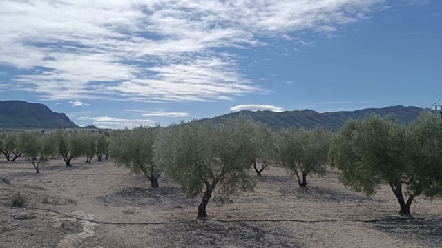 Grunde uden byggetilladelser til salg i Salinas - € 90.000 (Ref: 9329542)