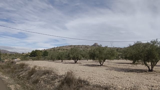 Grunde uden byggetilladelser til salg i Salinas - € 90.000 (Ref: 9329542)