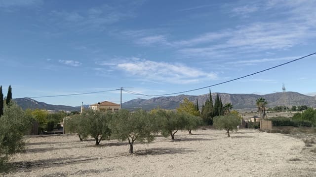 Grunde uden byggetilladelser til salg i Salinas - € 90.000 (Ref: 9329542)