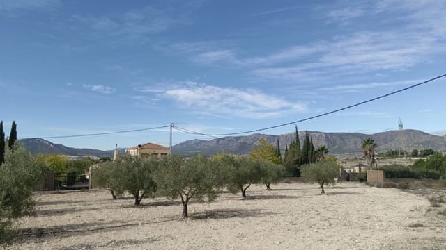 Undeveloped Land for sale in Salinas - € 90,000 (Ref: 9329542)