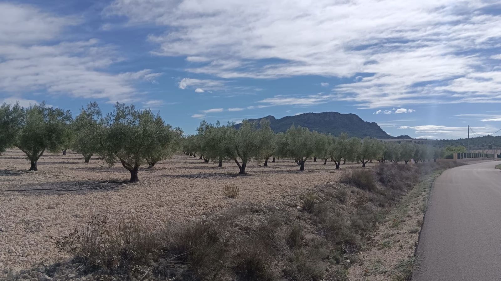 Undeveloped Land for sale in Salinas - € 90,000 (Ref: 9329542)