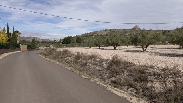 Terreno Non Edificato in vendita in Salinas - 90.000 € (Rif: 9329542)
