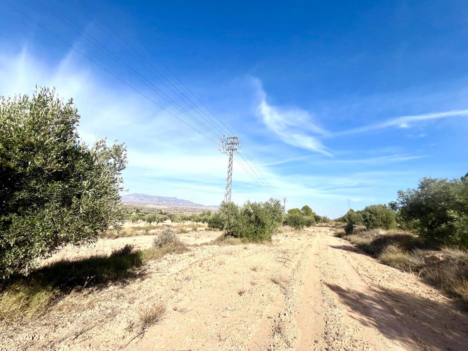 1 soveværelse Finca/Landehus til salg i Pinoso - € 50.000 (Ref: 9337008)
