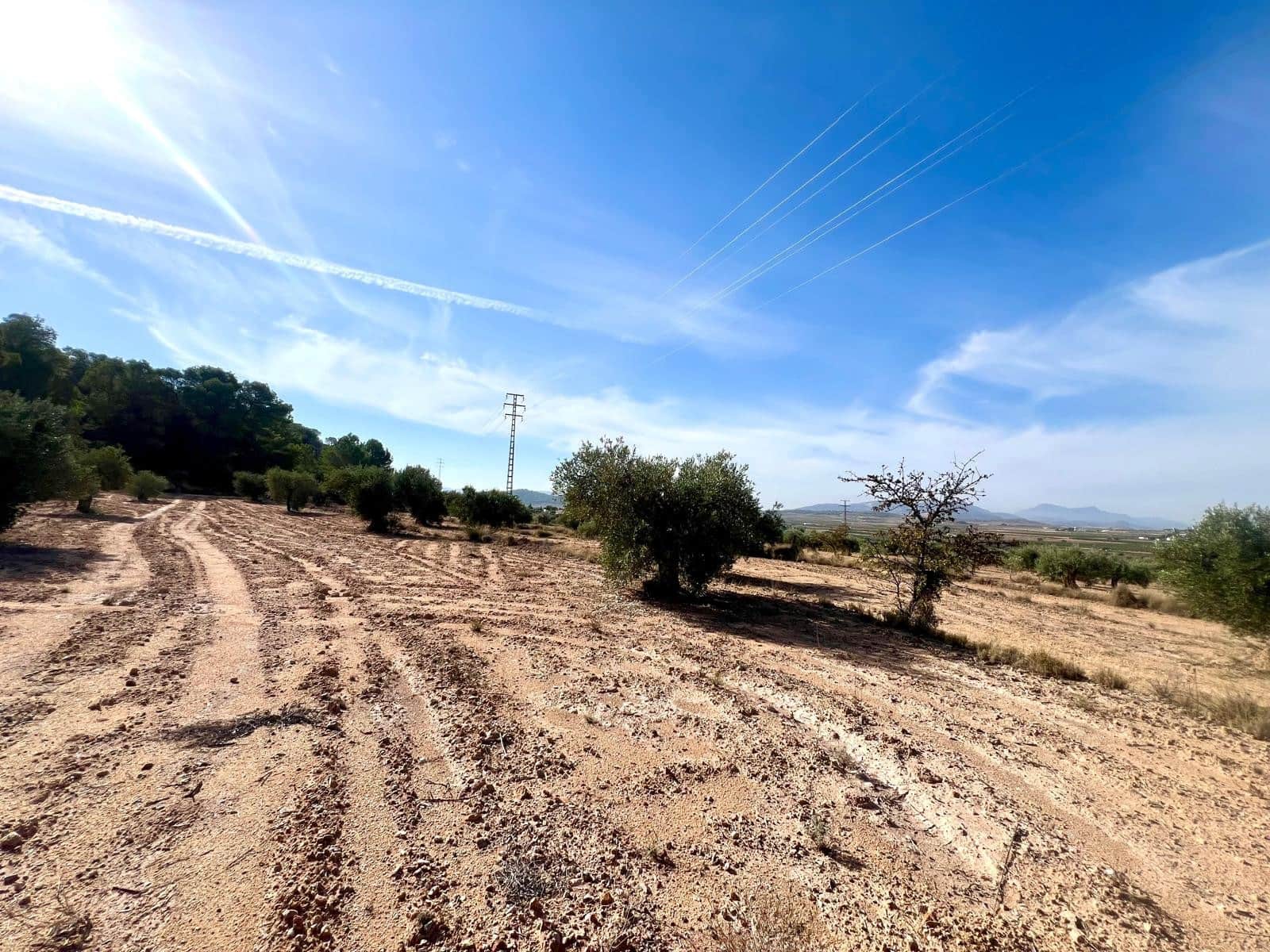 1 soveværelse Finca/Landehus til salg i Pinoso - € 50.000 (Ref: 9337008)