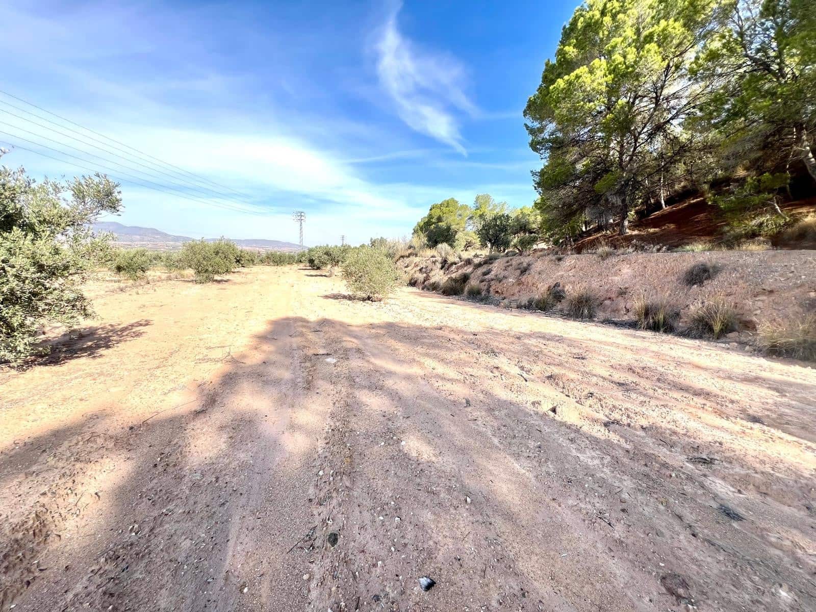1 soveværelse Finca/Landehus til salg i Pinoso - € 50.000 (Ref: 9337008)