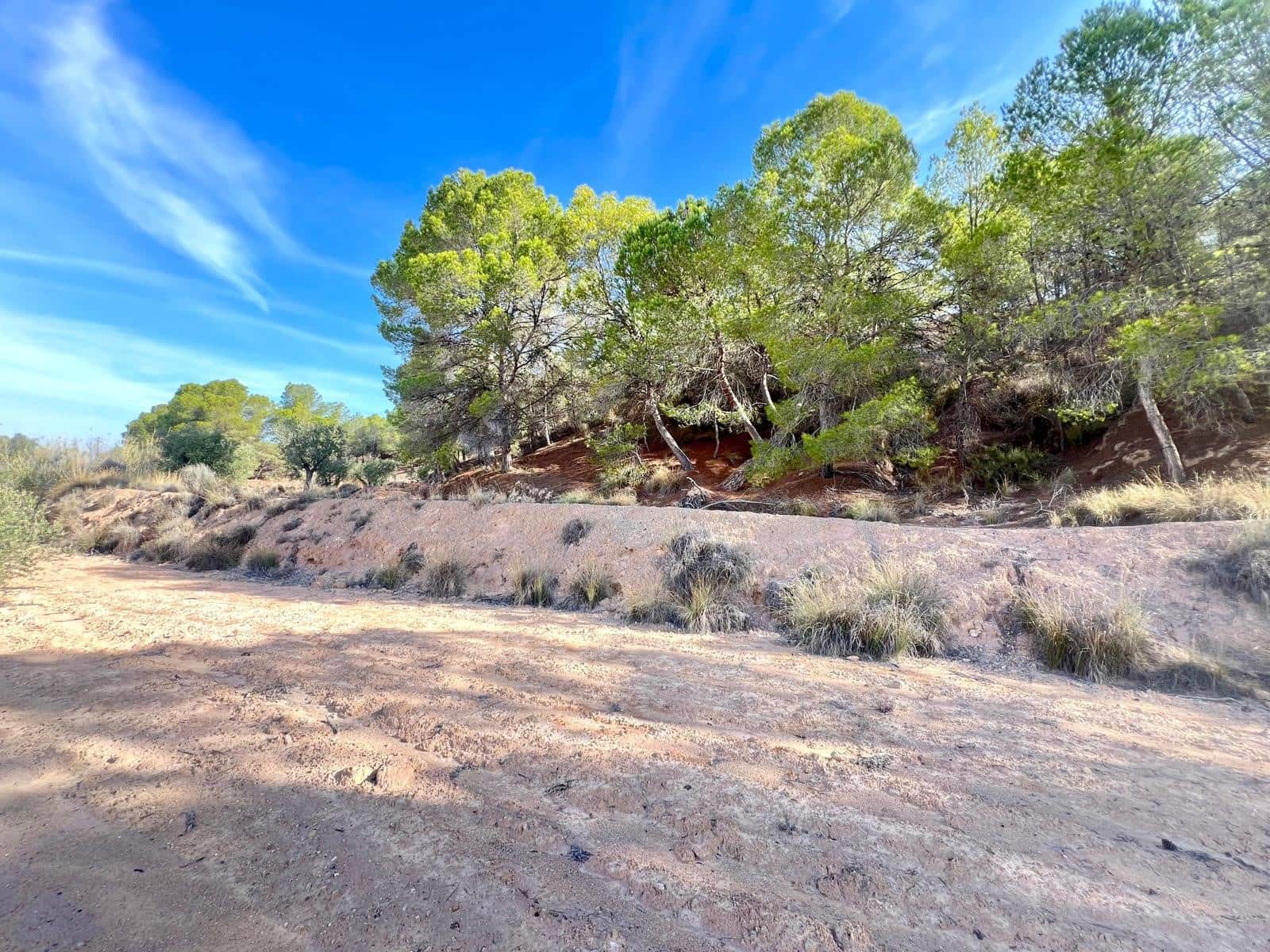 1 soveværelse Finca/Landehus til salg i Pinoso - € 50.000 (Ref: 9337008)
