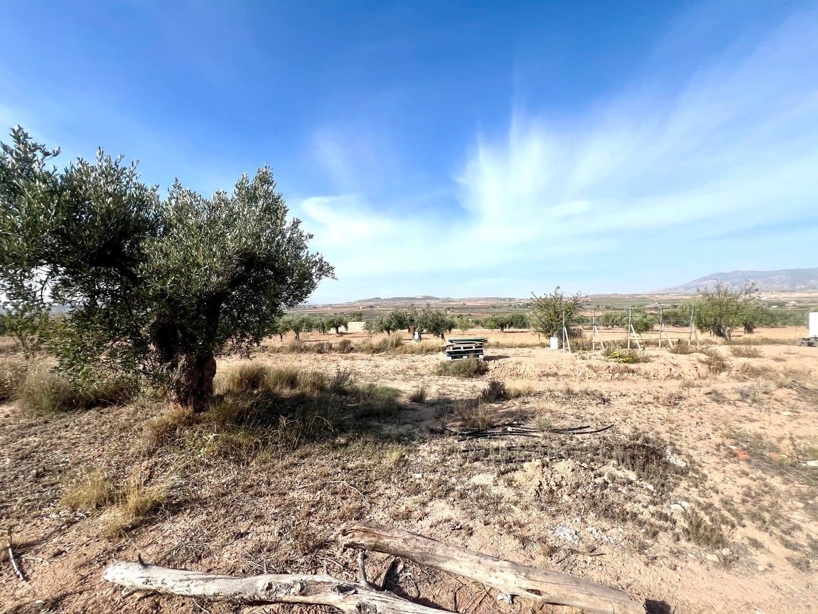 1 soveværelse Finca/Landehus til salg i Pinoso - € 50.000 (Ref: 9337008)