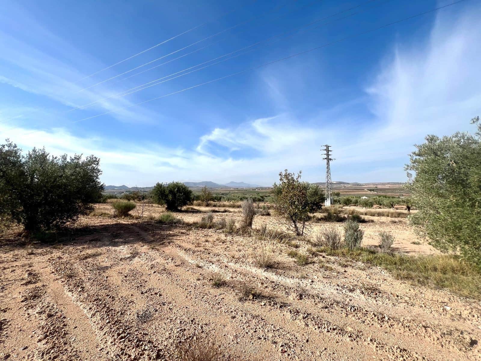 1 soveværelse Finca/Landehus til salg i Pinoso - € 50.000 (Ref: 9337008)