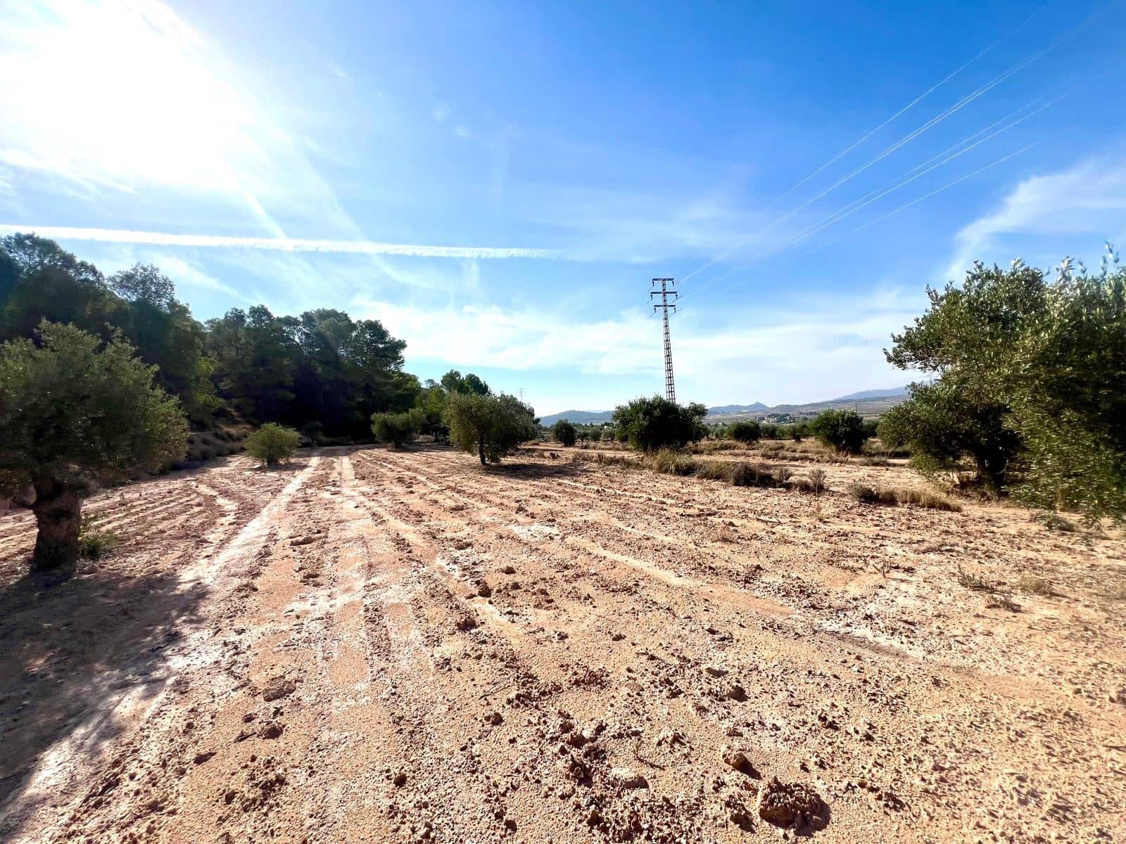 1 soveværelse Finca/Landehus til salg i Pinoso - € 50.000 (Ref: 9337008)