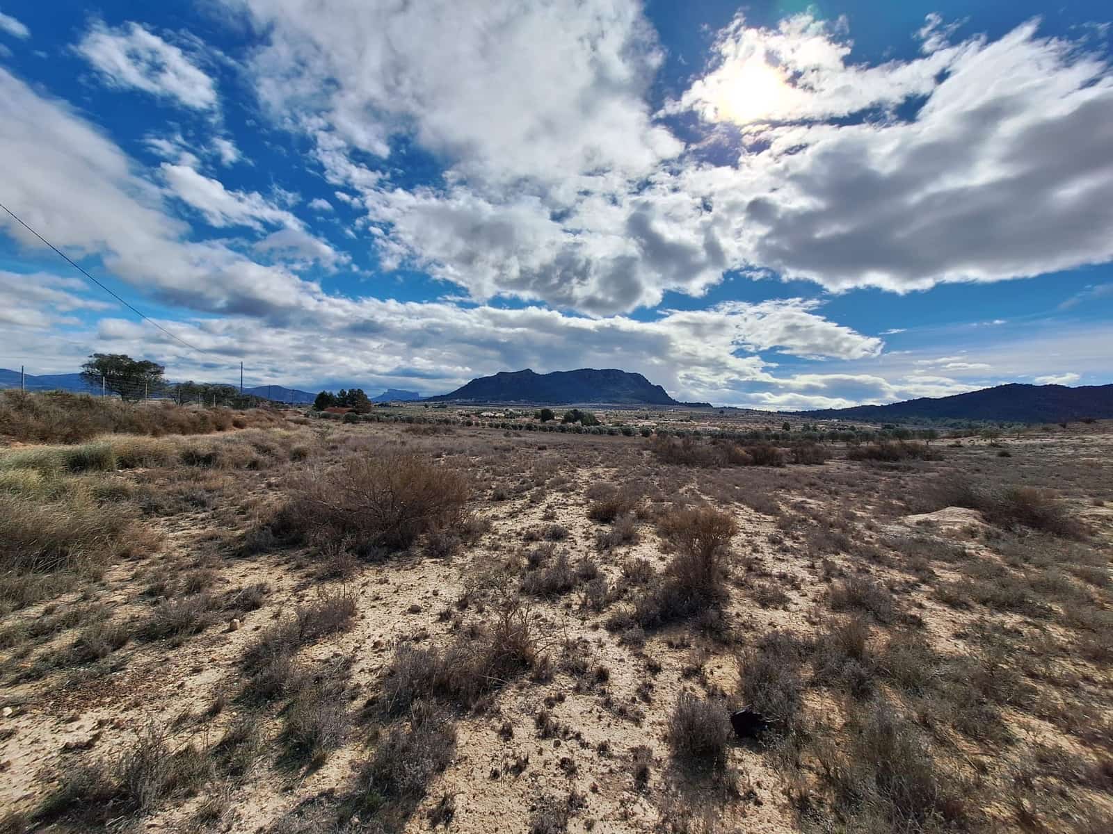 Undeveloped Land for sale in Salinas - € 55,000 (Ref: 9343942)