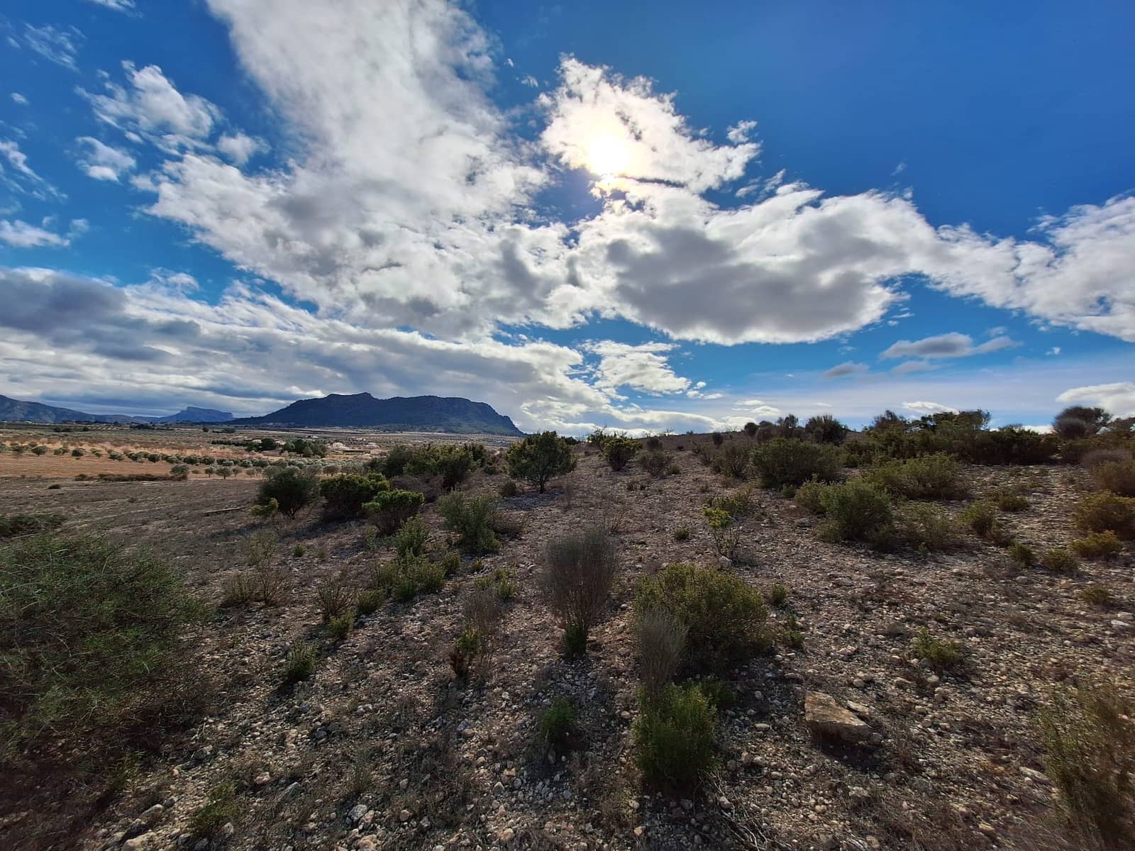 Undeveloped Land for sale in Salinas - € 55,000 (Ref: 9343942)