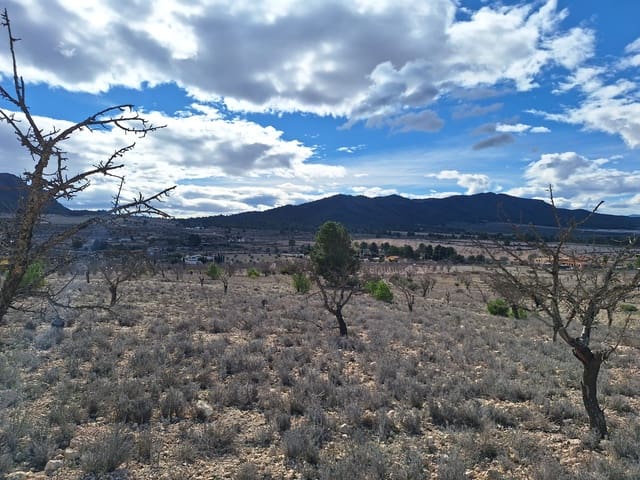 Undeveloped Land for sale in Salinas - € 55,000 (Ref: 9343942)