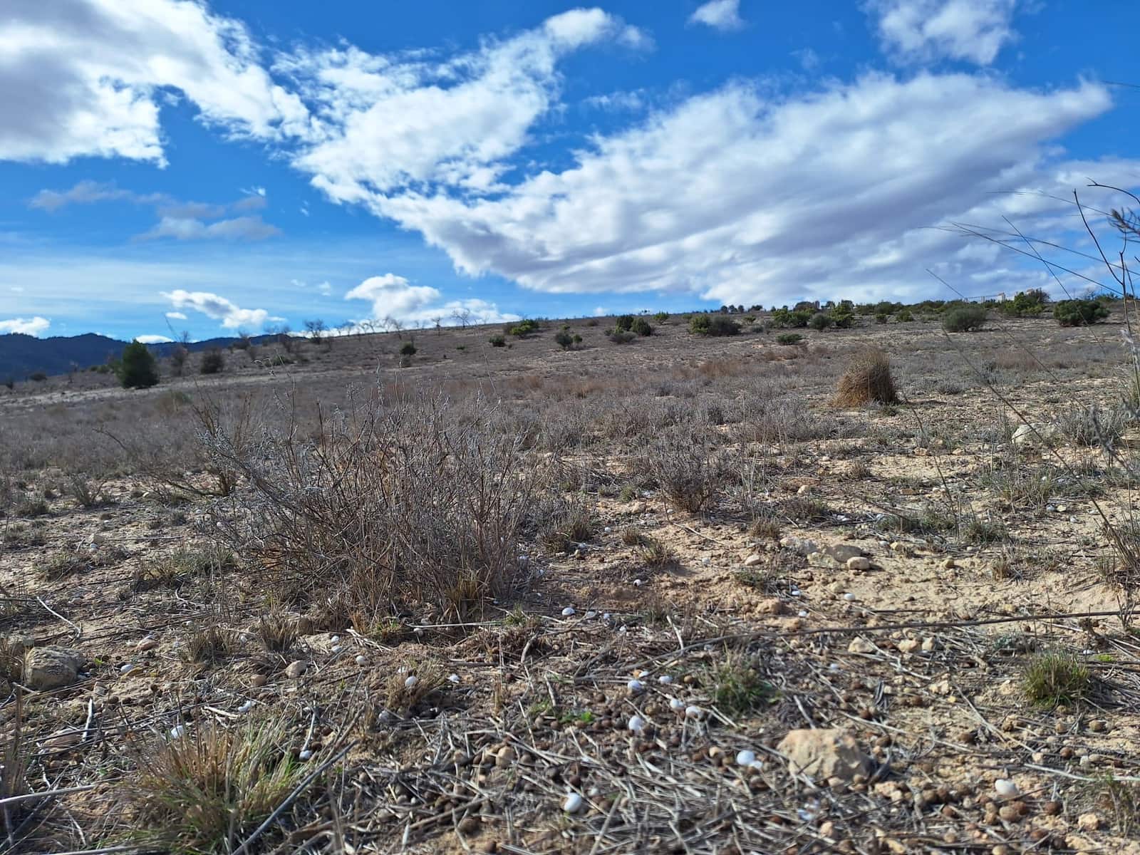 Undeveloped Land for sale in Salinas - € 55,000 (Ref: 9343942)