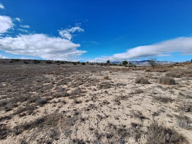 Undeveloped Land for sale in Salinas - € 55,000 (Ref: 9343942)
