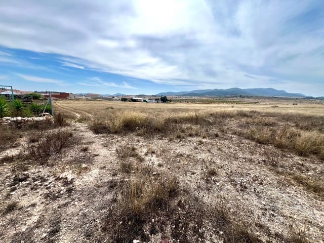 3 chambre Finca/Maison de Campagne à vendre à Cañada del Trigo, Pinoso - 67 000 € (Ref: 9345477)