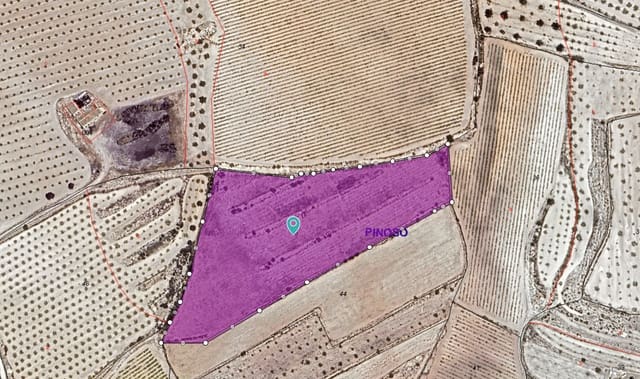 Undeveloped Land for sale in Pinoso - € 19,000 (Ref: 9352805)